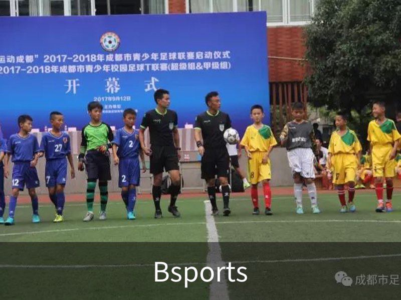 走进Bsports